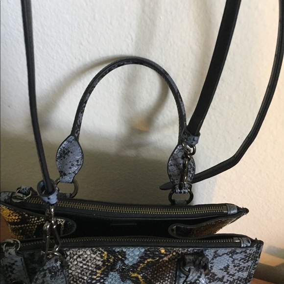 Stunning Coach Crosby - Picture 7 of 10